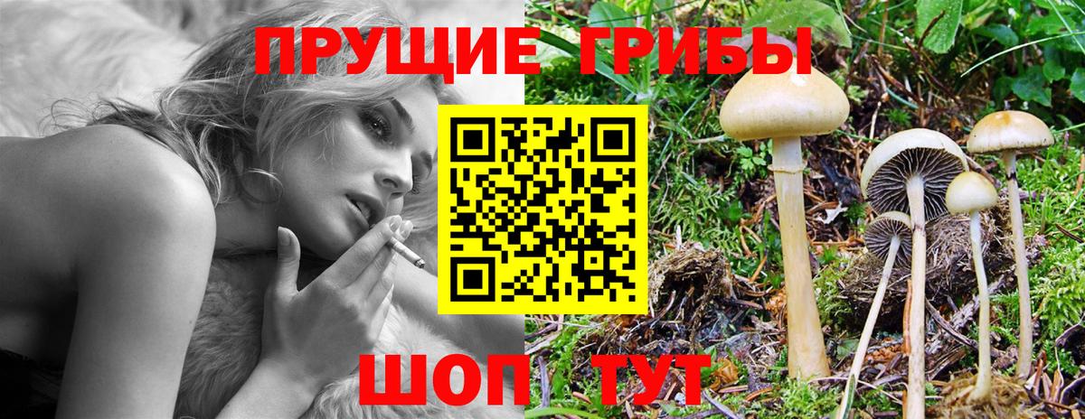 Кореновск  Псилоцибиновые грибы прущие грибы  Вход с VPN 